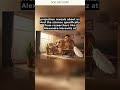 Your dog's GUILTY look isn't what you think