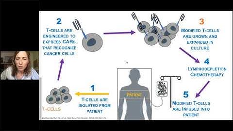 Management of relapsed DLBCL in era of CAR T therapy