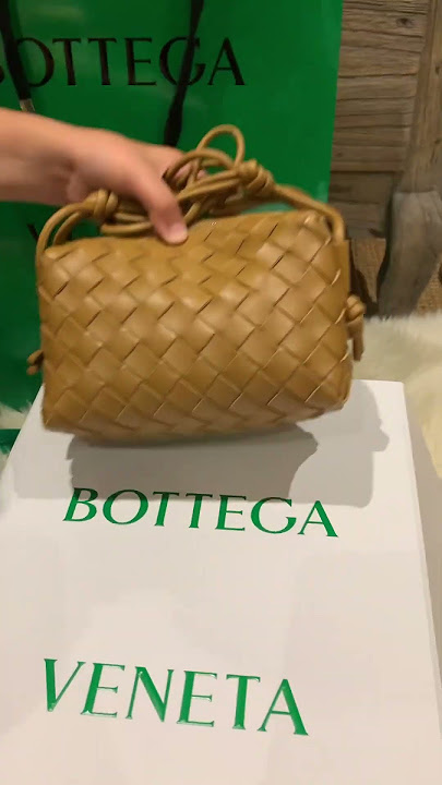 Replying to @r review & what fits in my bottega loop bag in size