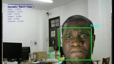 Real-time Facial Expression Recognition with CNN (2020) from Normal Camera and Videos For Subject 4:
