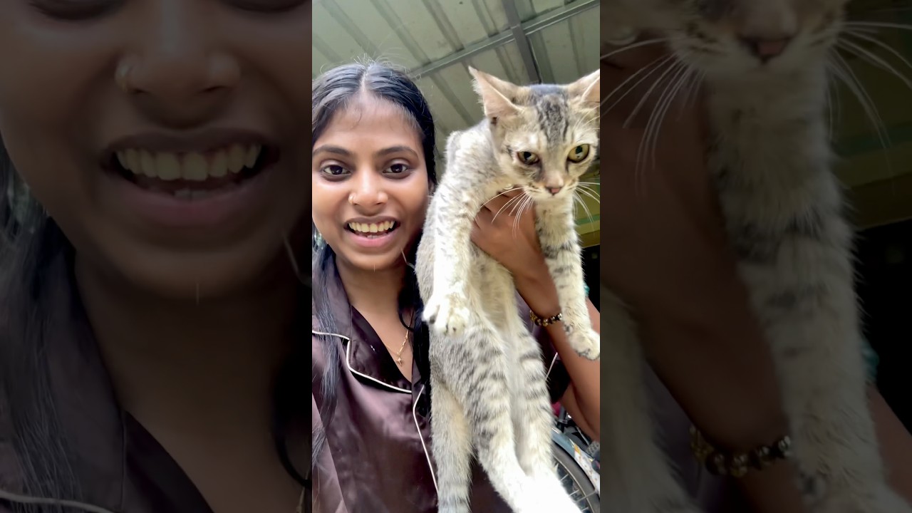 Cute kitty 🥺#chotpoti #shortvideo #youtubeshorts
