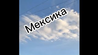 АКШ/Эксклюзив!!!Мекендешимдин Мексика аркылуу АКШ га кирген видеосу