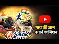 आज गो माता के घाव की पट्टी की हे अब गो पूरी तरह से स्वस्थ है 