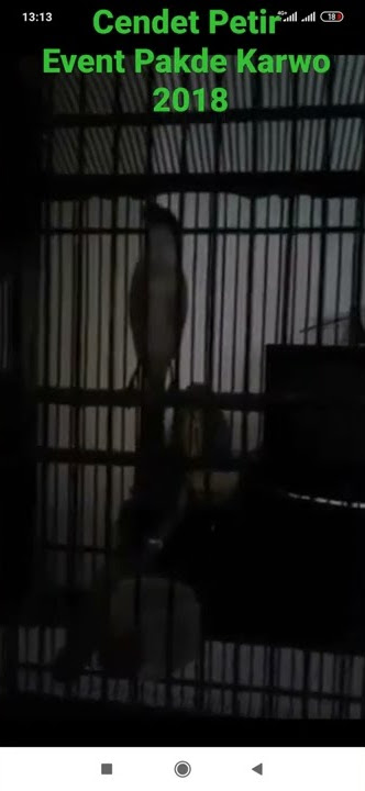 CENDET PETIR 2018