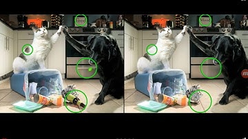 Find the Difference Level 83