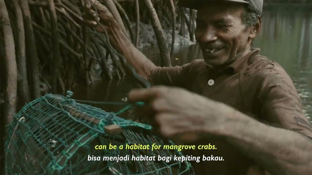 TANAH ARU: Surga Tersembunyi di Indonesia | #SaveAru