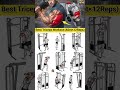 Day-90/most effective Triceps Exercise 🔥 #motivation #bodybuilding #triceps #tricepsworkout