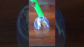 Celebrity Save Time and Effort with This Simple DIY Bulb Changer! #shorts #feedshorts #diytools #bulbchanger Net Worth