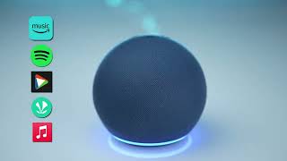 Amazon Echo Dot (5th Gen) + Wipro Smart Bulb Combo