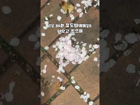 Tiger리츠부동산인프라를 소개합니다