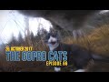 Cat with gopro  big fight and mouse catch  ep 66