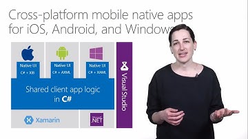 Cross-Platform Mobile Application Development