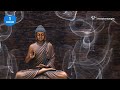 [1 Hour] The Sound of Inner Peace 5 | Relaxing Music for Meditation, Zen, Yoga & Stress Relief