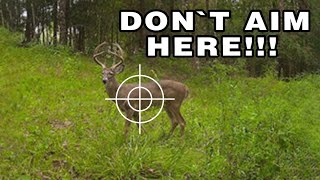 Aiming Mistakes That Sabotage Your Deer Hunt ( Wish you Knew Sooner!)
