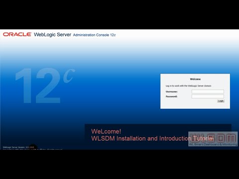 WLSDM: Installation and Introduction Tutorial