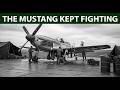 What Really Happened to the P-51 Mustang After WWII?