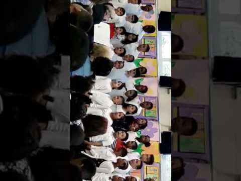 Alden terrace school grade 4 2016 begginers concert(1)