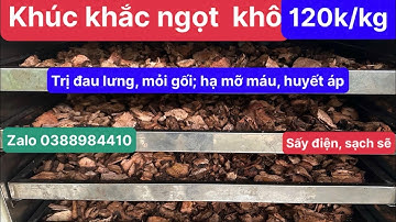 Khúc khắc khô (thổ phục linh) sấy điện giúp lọc máu giải độc, trị đau nhức xương khớp, mạnh gân cơ