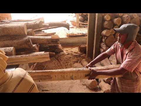 Teak Wood Cutting | Saw Mill | Wood Cutting in Indian Saw Mill | Teak Wood | To Know