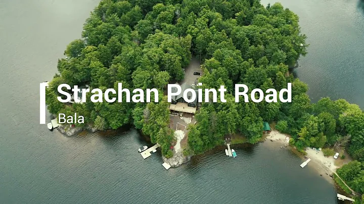 Strachan Point Road, Moon River, Bala