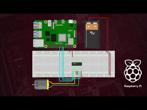 How to Control a DC Motor with a Raspberry Pi!