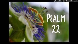 Psalm 22