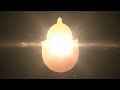 PCAO New 2026 Logo Reveal 