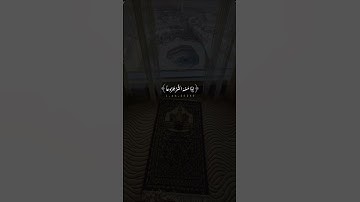 ( الا المصلين ) القارئ عبدالله الموسى..ايات قصيرة.. قران..حالات واتس..انستا..تيك توك..مقاطع قصيرة