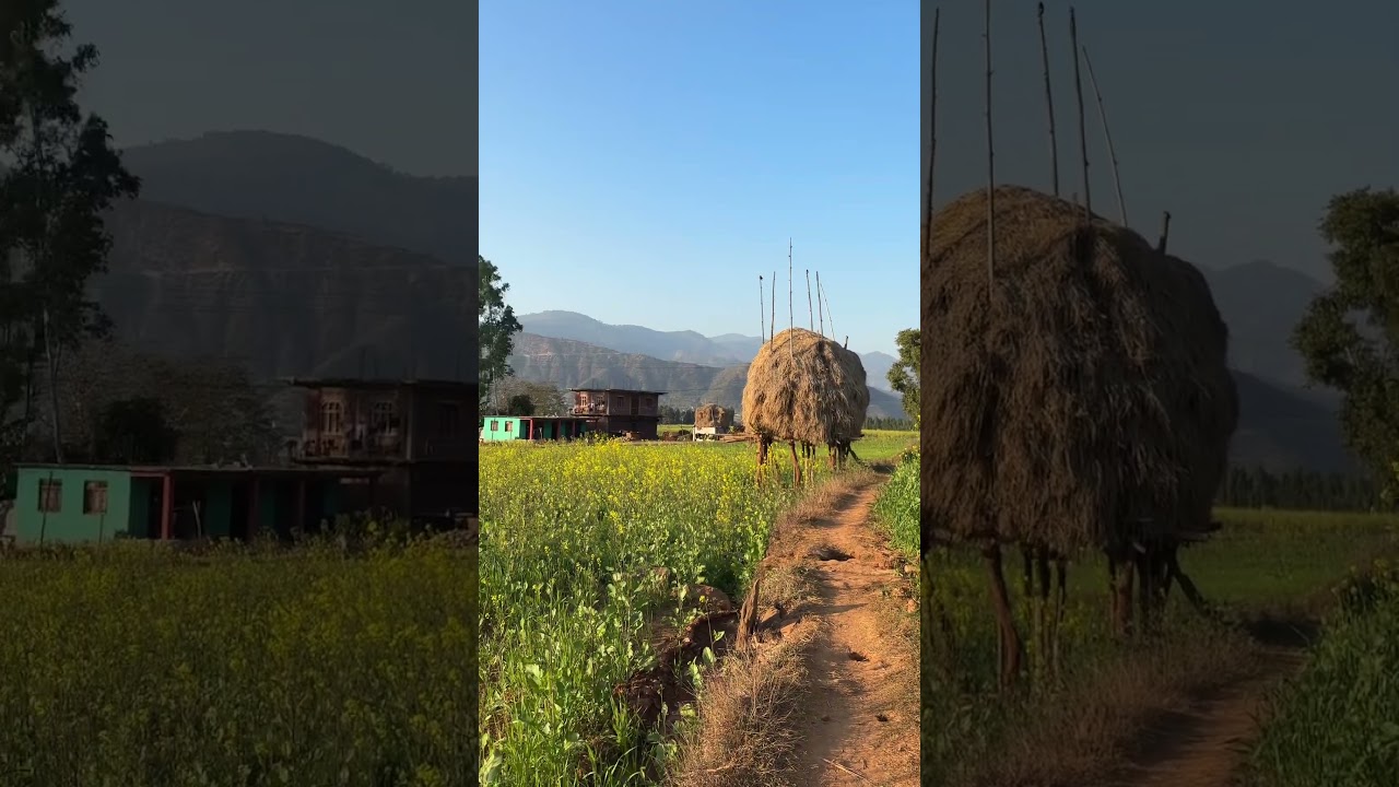 #shorts #nature #trending #explore #vlog #village