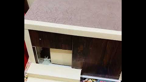 Arduino keypad automatic door lock #arduino