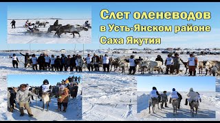 картинка: Слет оленеводов 2023. Якутия. Арктика