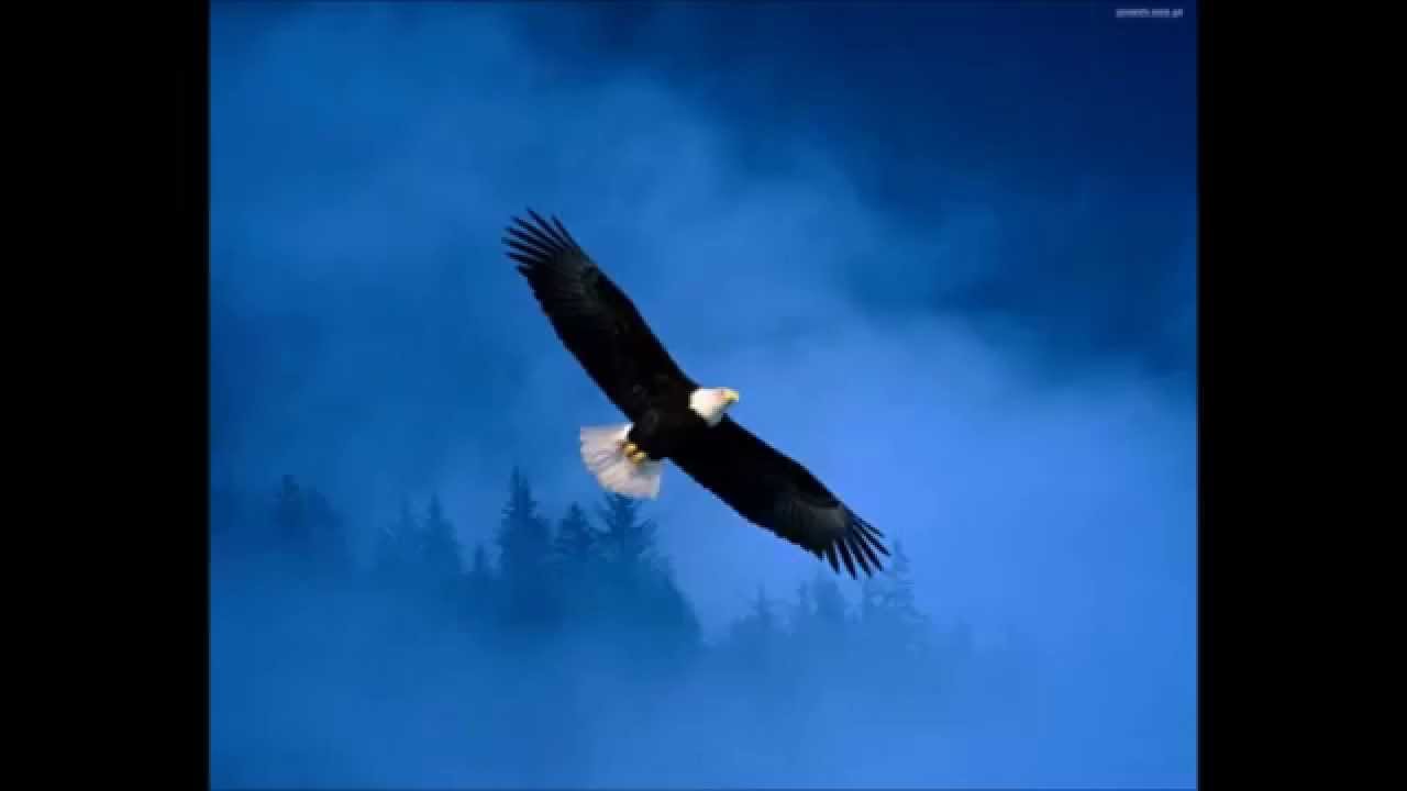 Wolf Song Born Free Kid Rock YouTube Wolf song born free kid rock youtube