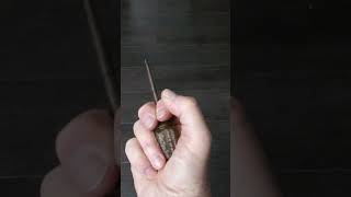 Improvised Weapons found on Daily Walks