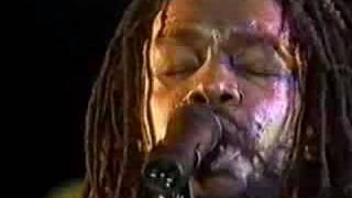 Video thumbnail of "peter tosh - bush doctor [ 83 holland ]"