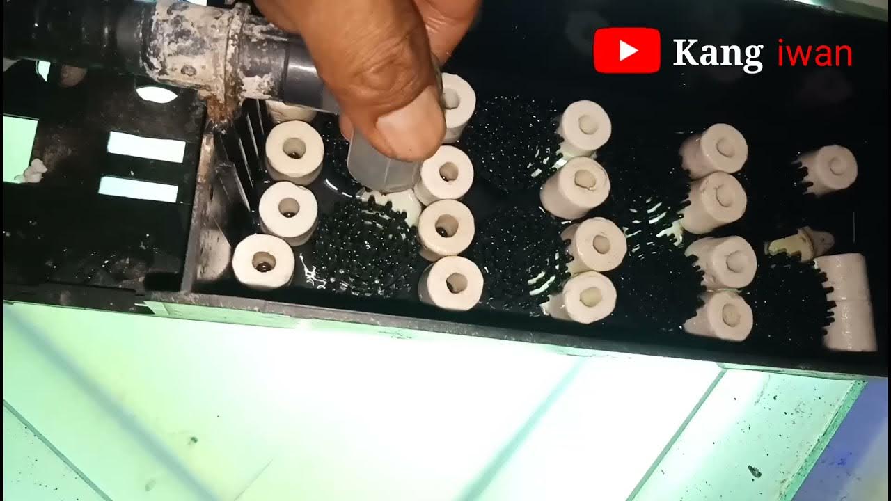 cara menyusun media filter aquarium talang sederhana, agar air tetap
