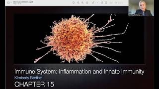 Micro Lecture Video Ch15