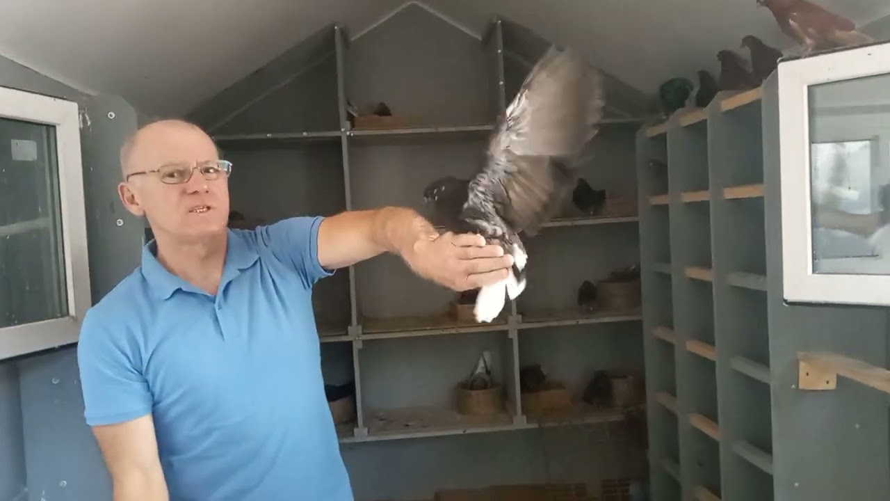 Обзор филиала у Александра.