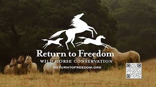 20240312   Return to Freedom   Evergreen QR Code