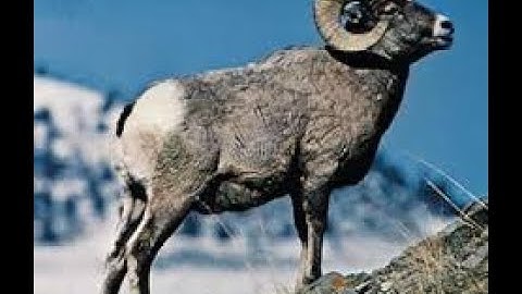 [Chinese] Chapter 3: Data Model & query language