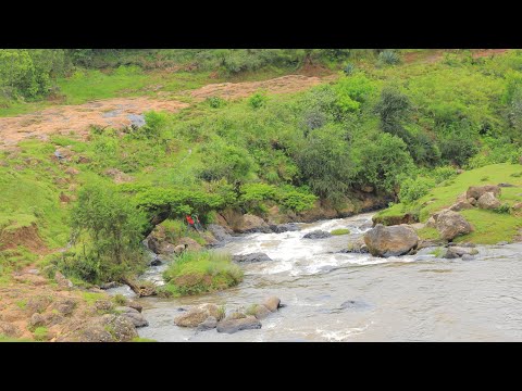 New Oromoo Music Gulummaa Baalchaa Huursee Dhufe 2021