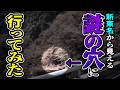 【静岡】行先不明・・・新東名の脇にたたずむ3つの“謎のトンネル”