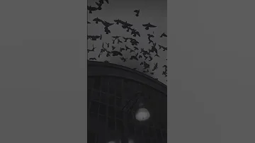 أيها المختار فينا زادنا الحب حنينا Alquran Islam Allah Makah Dream Marokko Shorts 