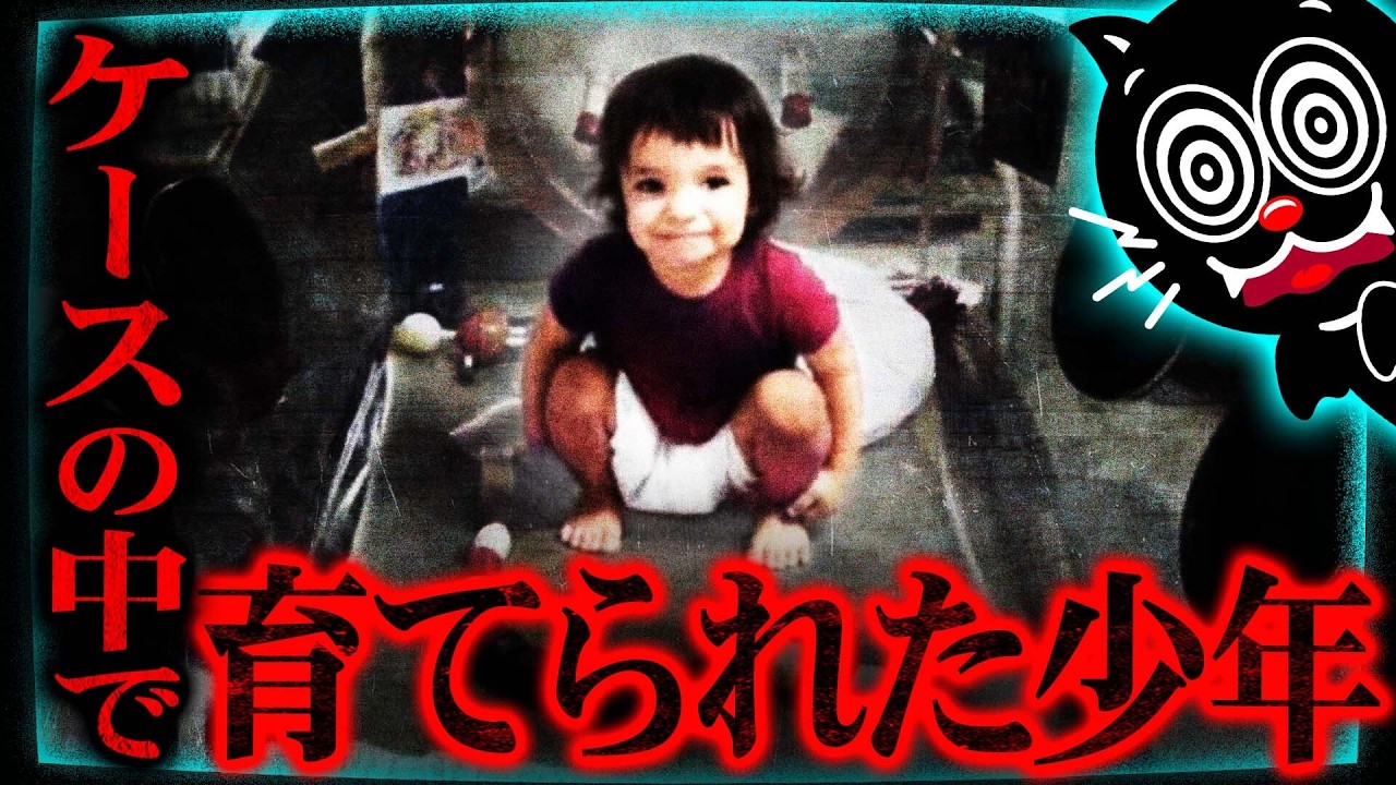 【閲覧注意】死ぬまで透明の部屋から出られないバブル・ボーイの悲劇