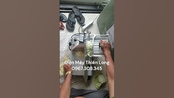 Máy Cắt Thịt Đông Lạnh ALPHA ES-250 | Điện Máy Thiên Long📞0967.309.345