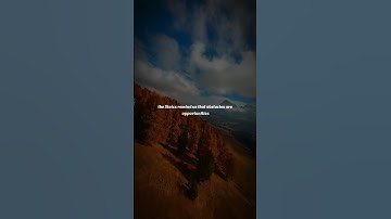 The Stoic Approach to Building Resilience Against Adversity #stoicism