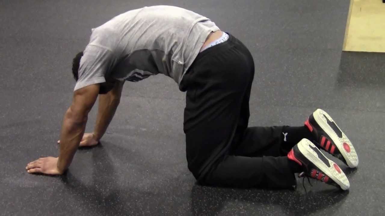 final stretch YouTube