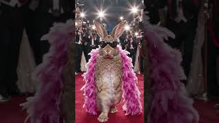#alvideo #shortvide AI video cartoon kit only for kids cartoon show rabbit khargosh dance modern