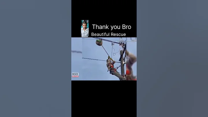 This  Man Saving For The Little Sloth 🦥 😂 #animals #rescue #electric #slothrescue #shorts