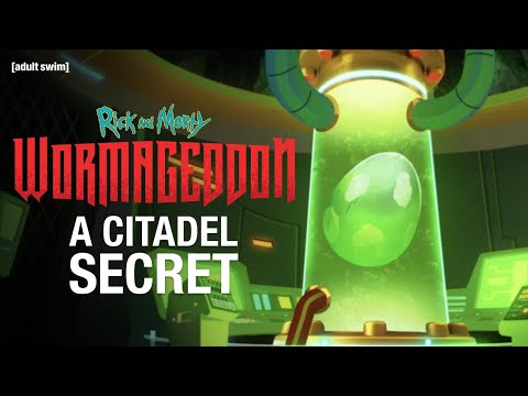 A Citadel Secret |  Rick and Morty |  adult swim – Adult Swim