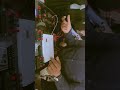 Digital Trainer DLD